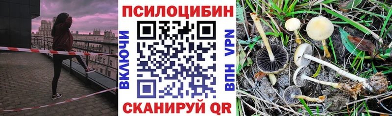 Купить закладки  Калач-на-Дону  Галлюциногенные грибы GOLDEN TEACHER 